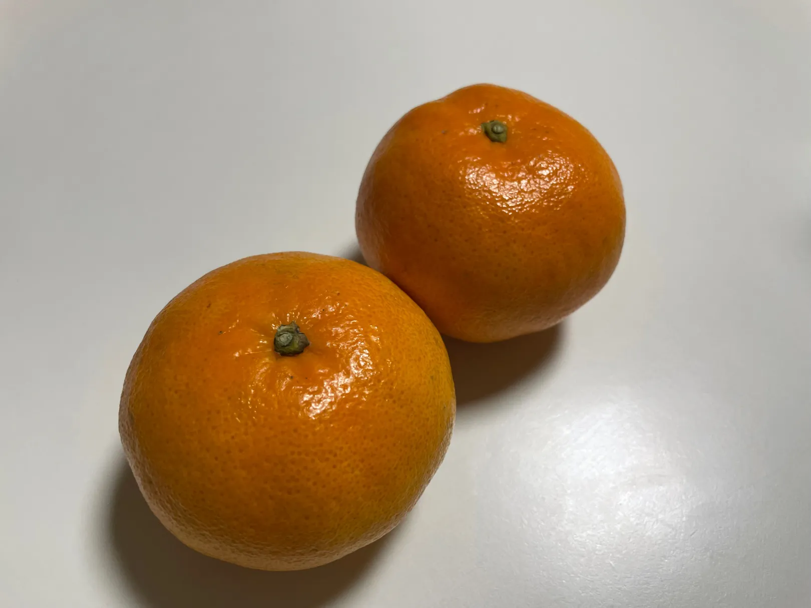 띵동아.. 엄마 고기 좀 먹게 해줘...