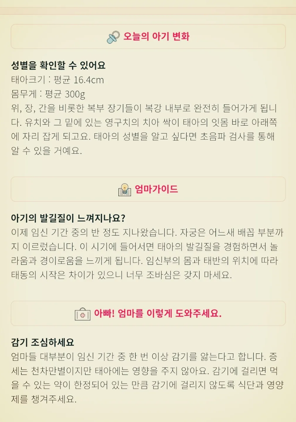 19주 정보 공유해요❤️