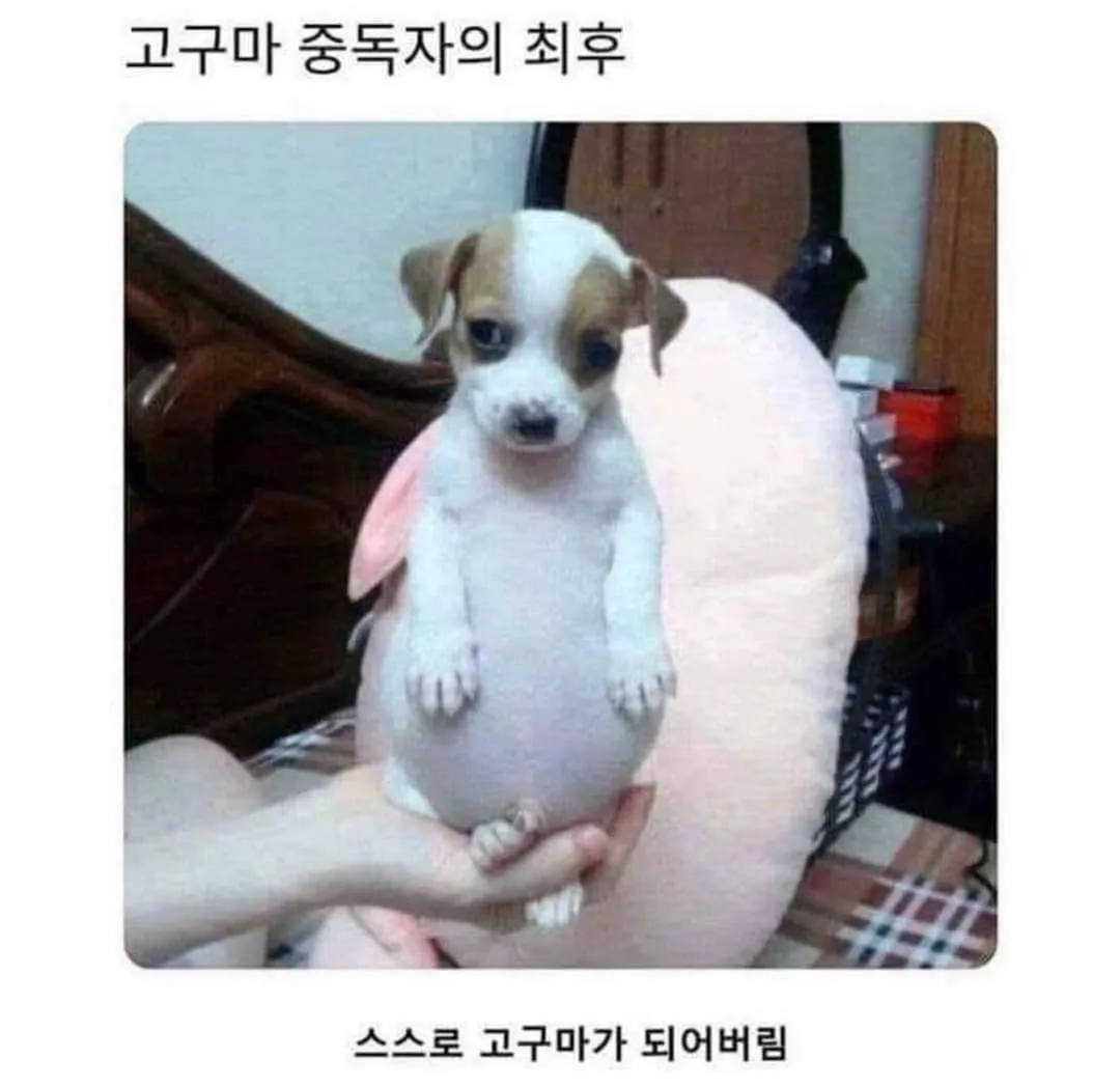community post image