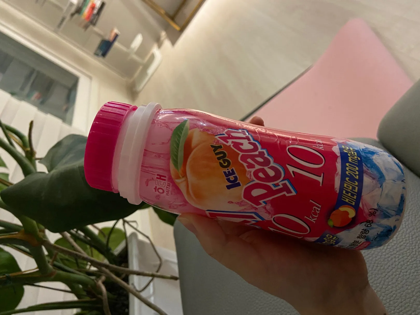 입덧에 괜찮네요🥺