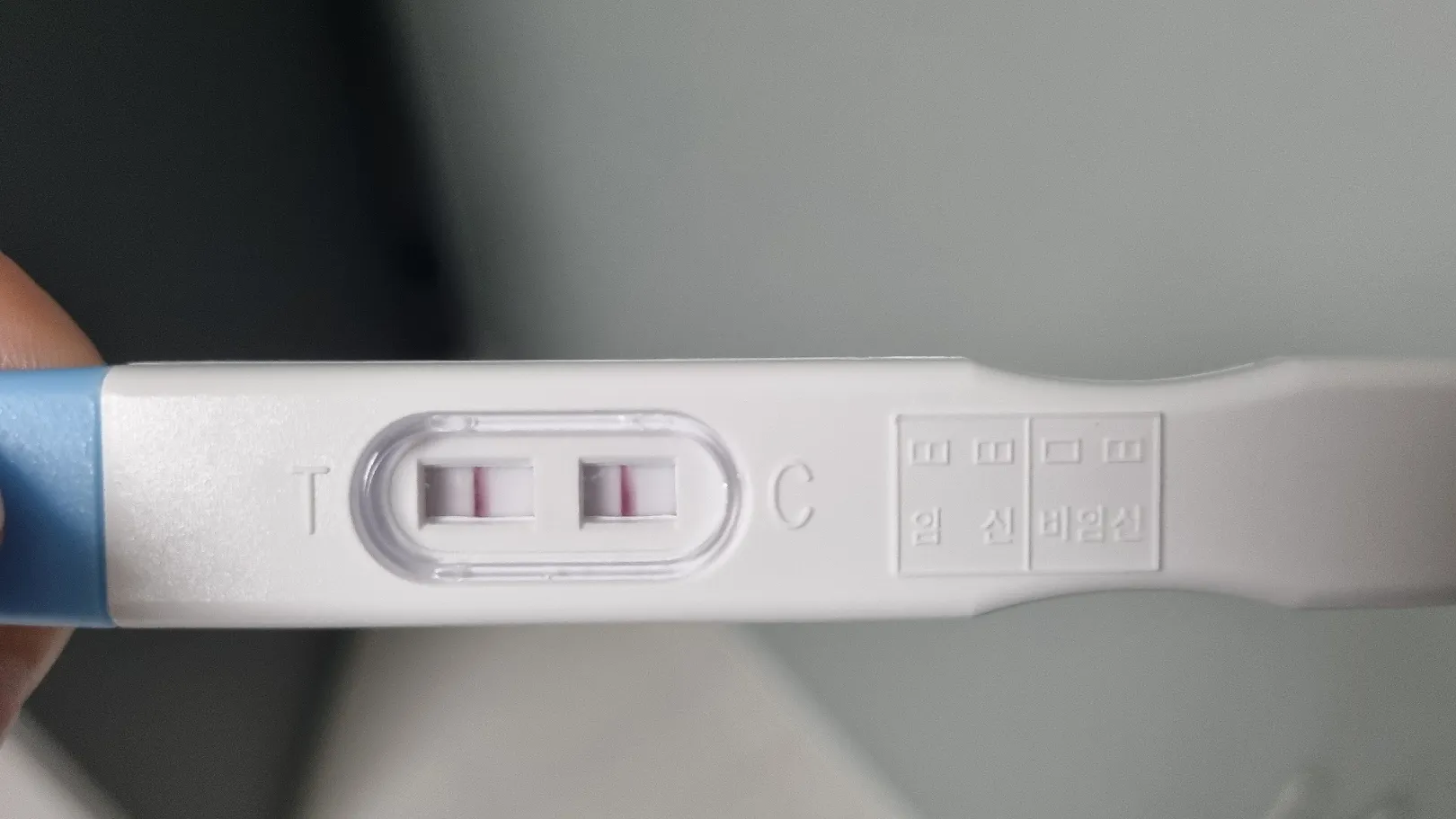 임테기 진하기