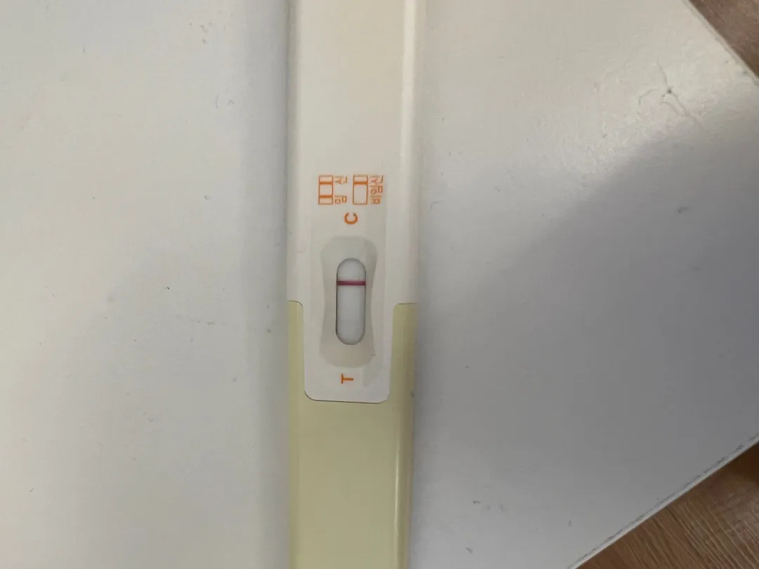 세이플리 임테기좀봐주세요 ㅠ 