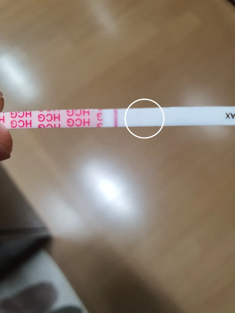 얼리버드임테기 같이 봐주세요..❤️