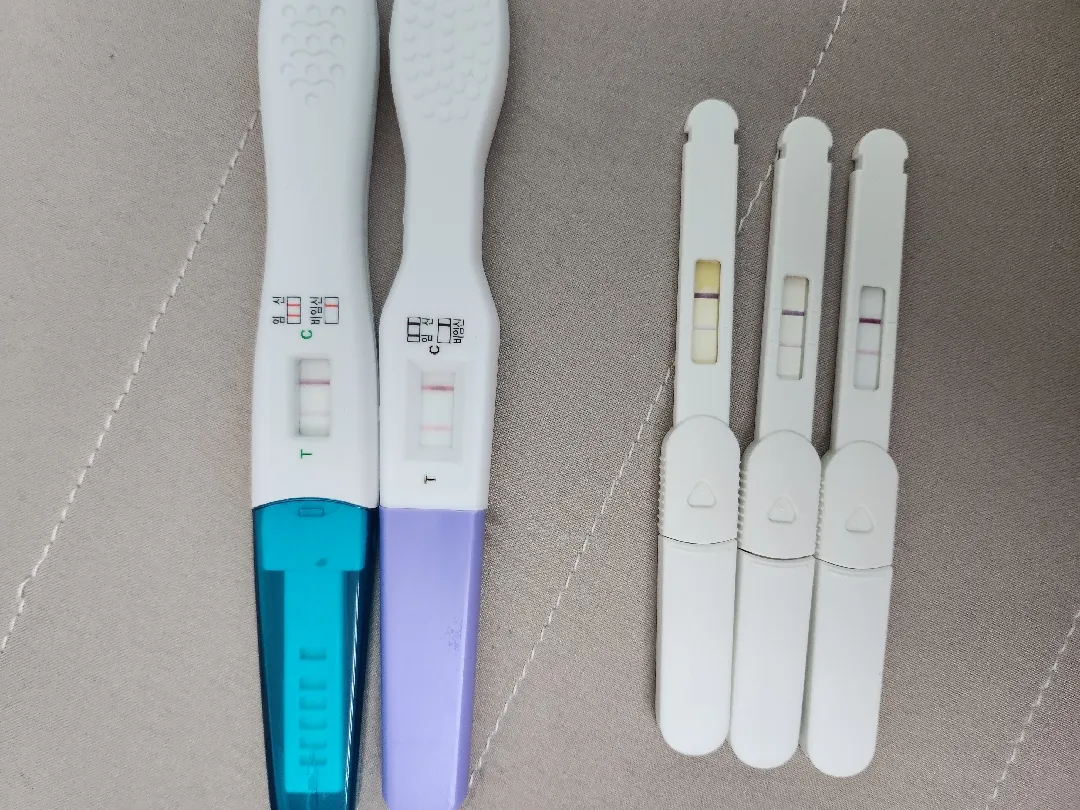 임테기..