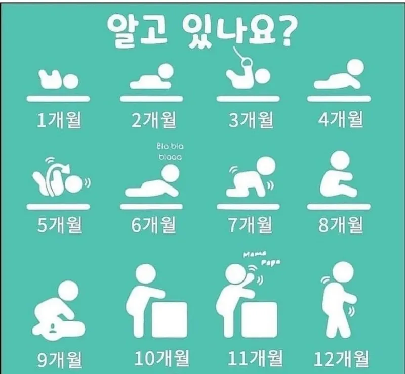 조급히 마음 먹지 말기....생각보다 어렵네요.