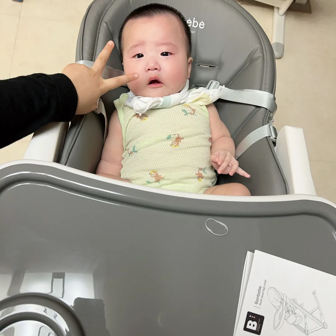 본ㅂㅂ 하이체어