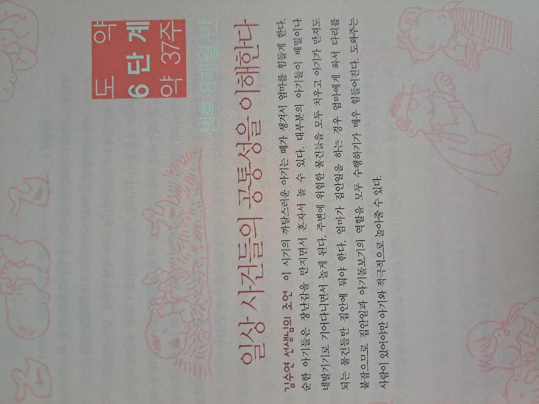 7-8개월 원더윅스