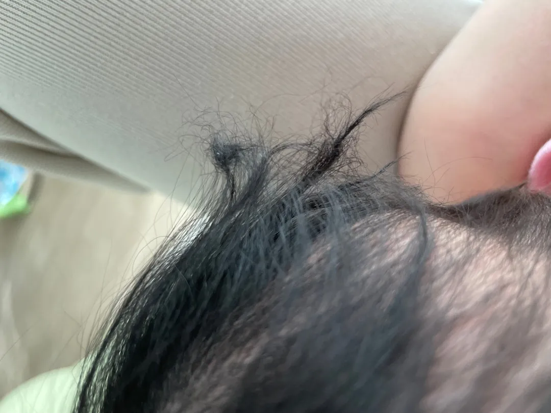 머리카락