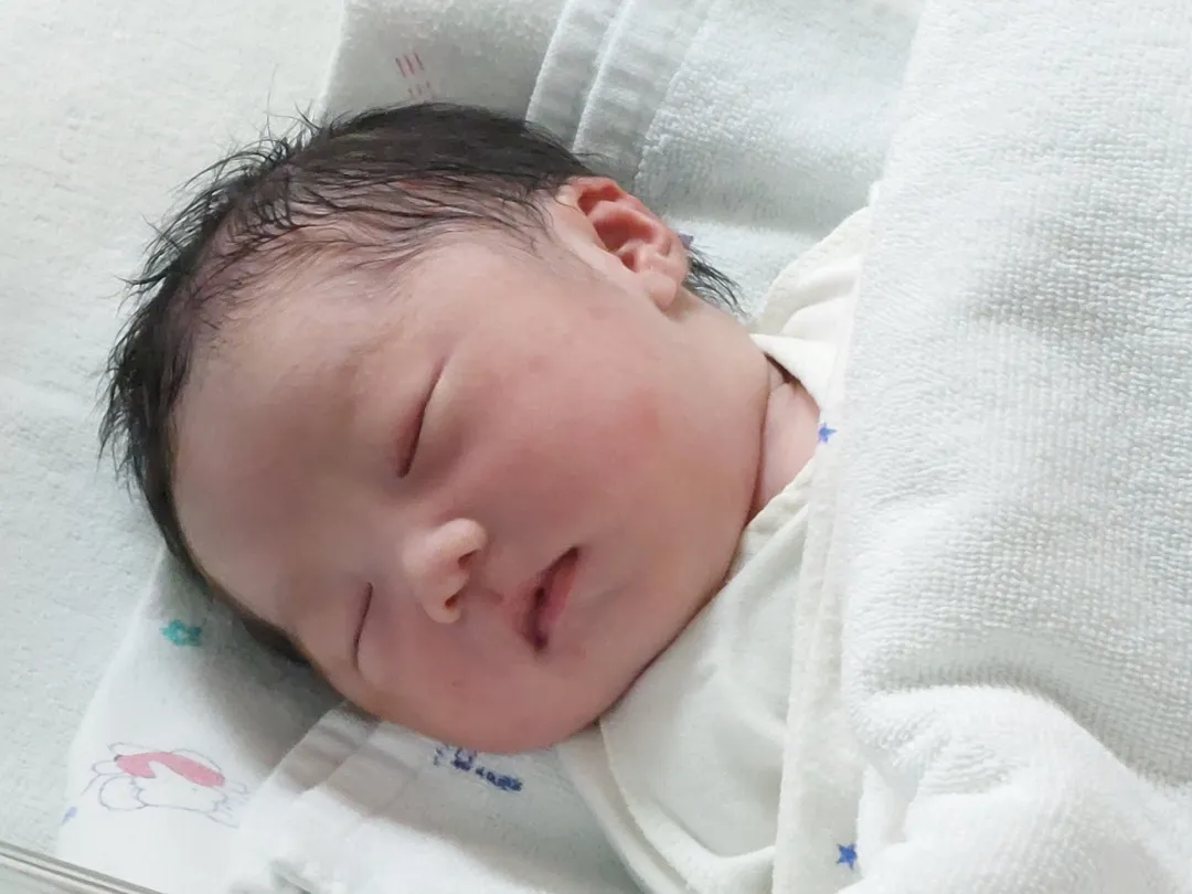 까꿍이 탄생🍑 9월에서 8월 배동으로 넘어왔어요