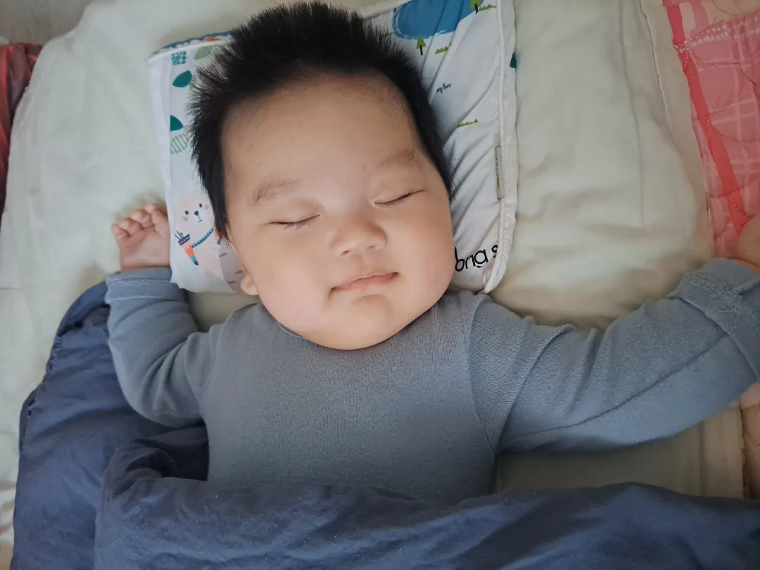 다들 배게 뭐쓰시나여?