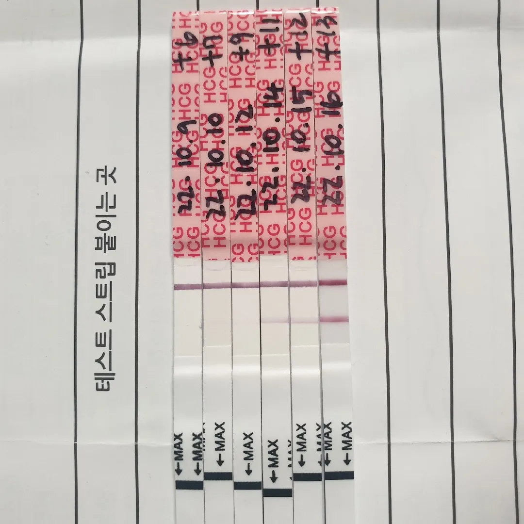 임신 4주차 설사하시는분 계신가요?
