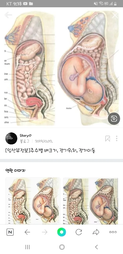 이거시 모성애??????🤣🤣