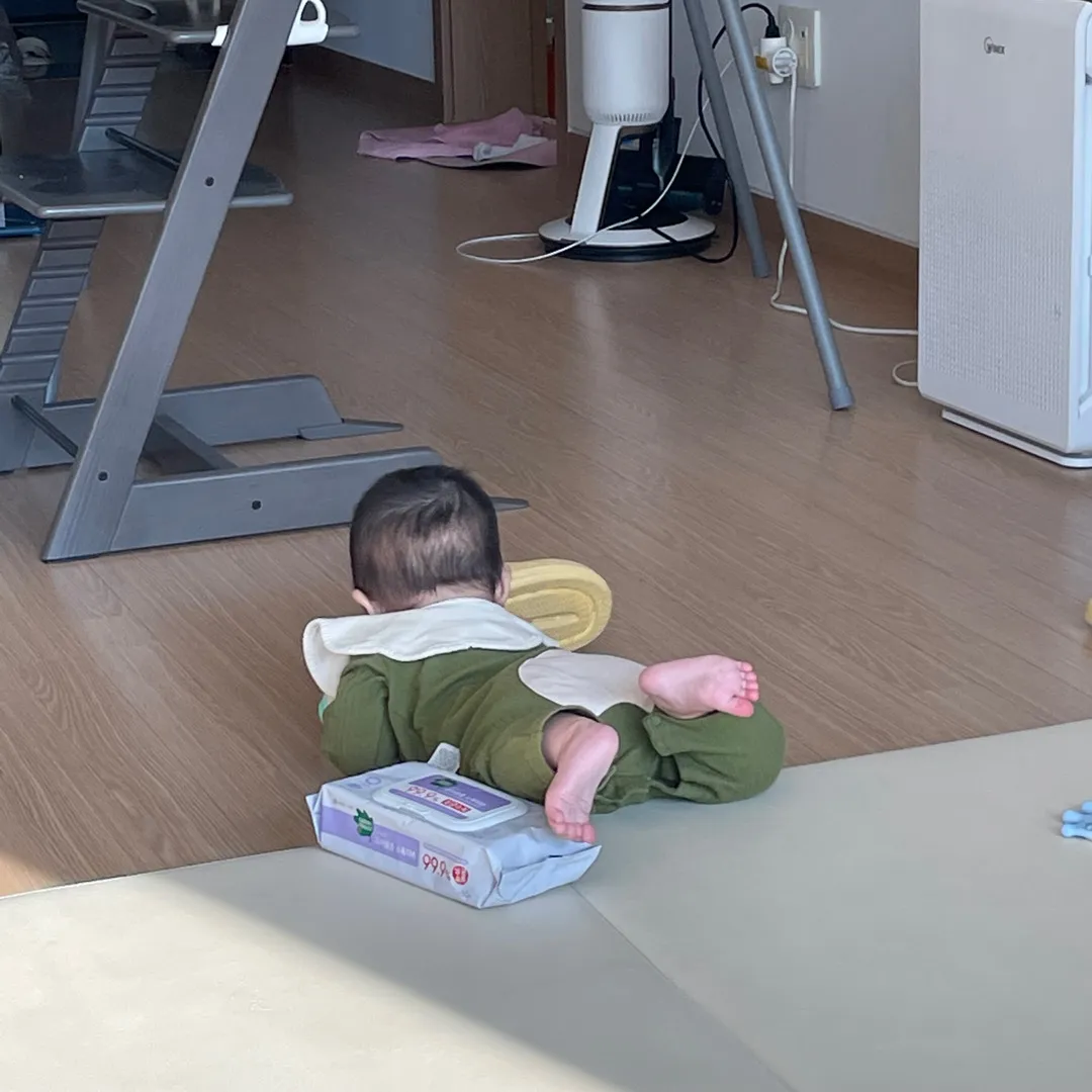 폭풍배밀이 
