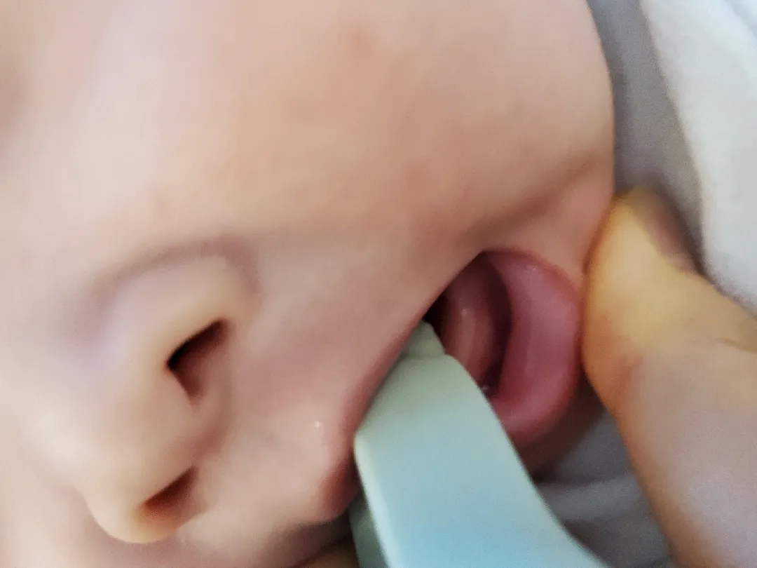 이거 이 나는 중인건가요?