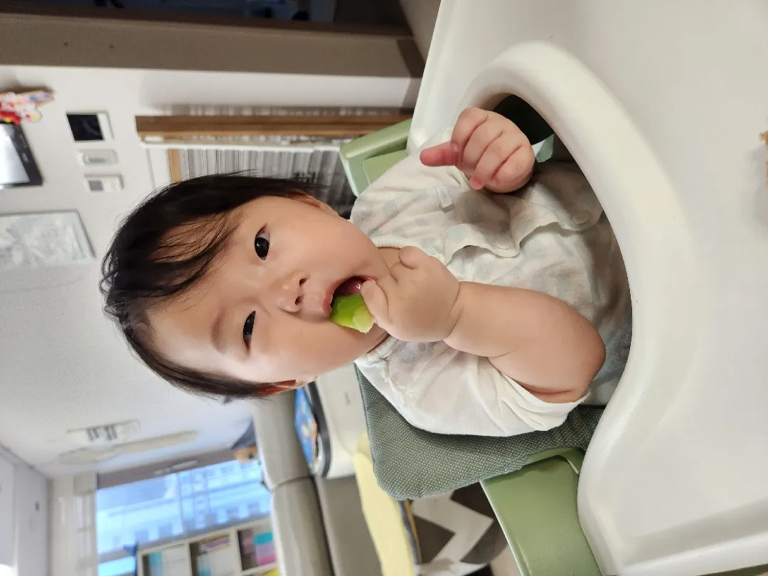 브로콜리대 치발기네요