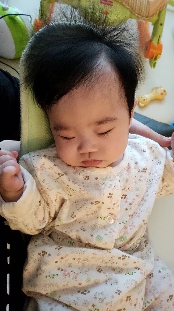 저희집 희동이