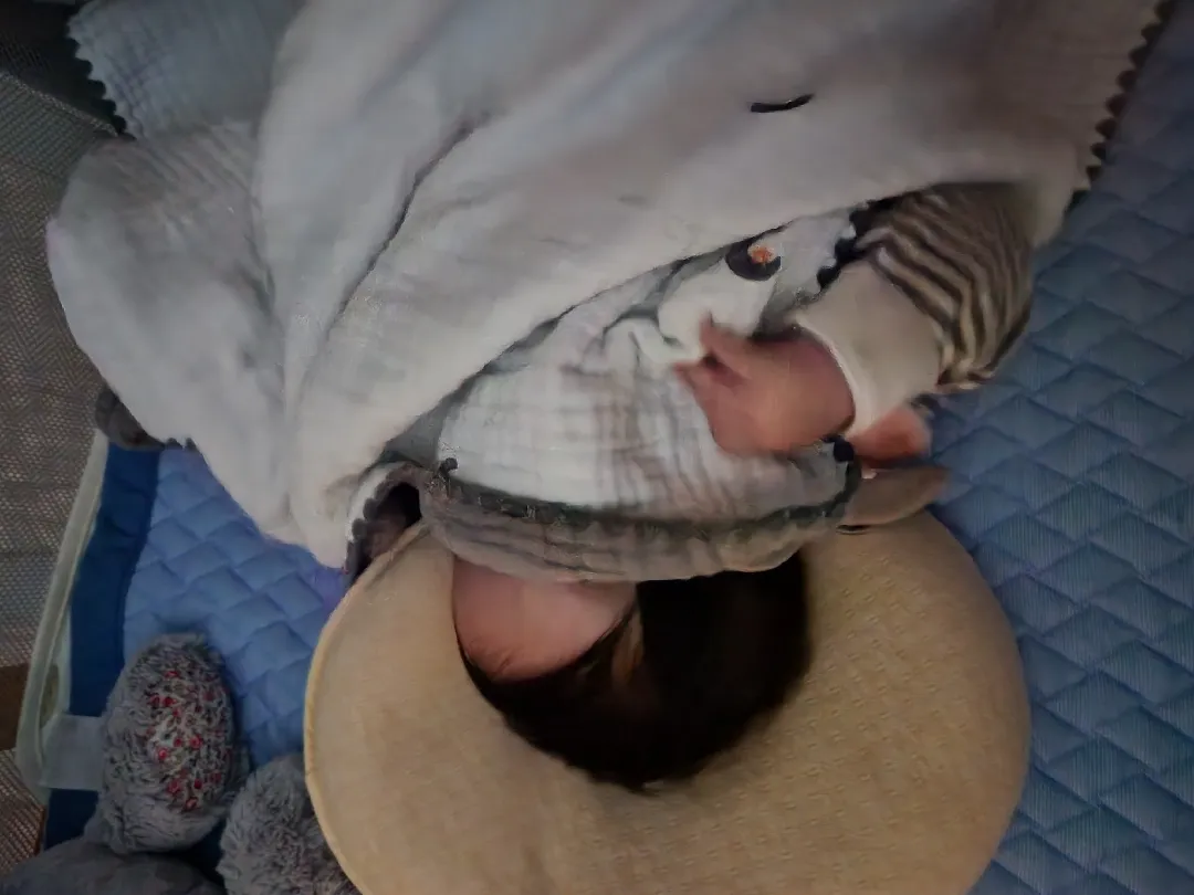 얘 왜이러는지 아시는분 계시나요??