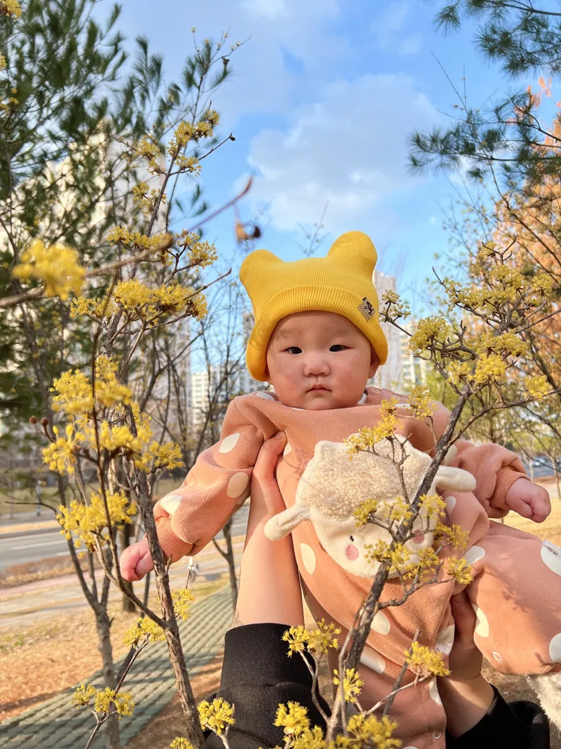 봄이 왔어욤