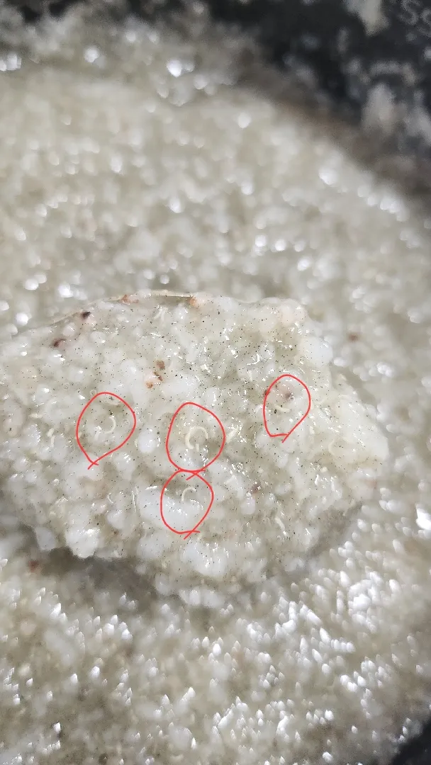 이것의 정체가 무엇일까요?