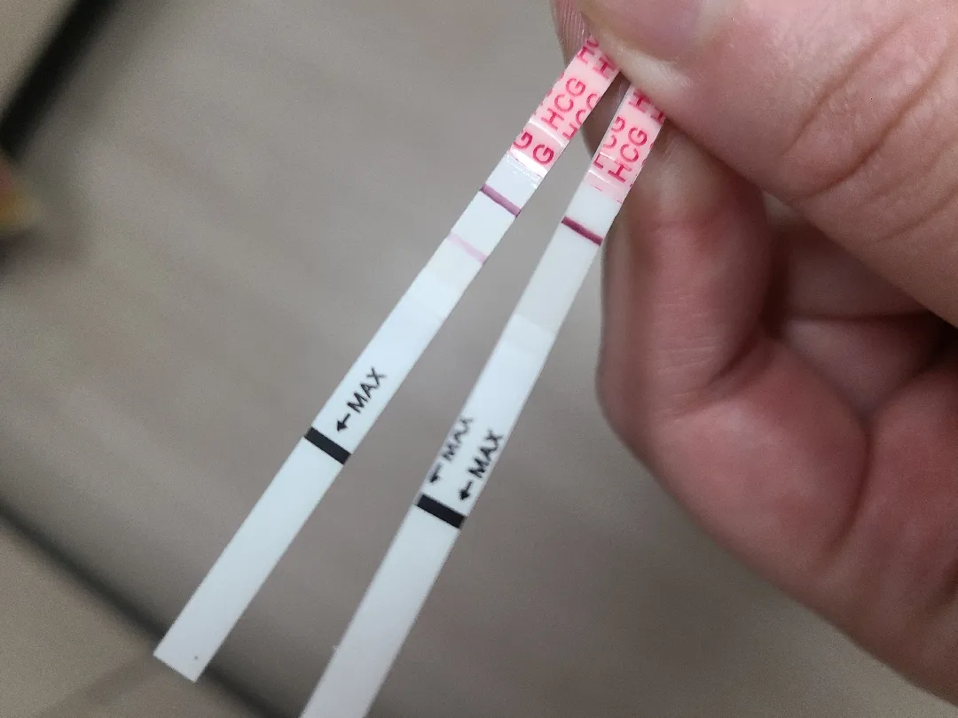 원포테스트기 오류..?