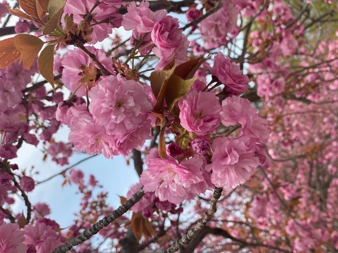경주 다녀왔어요💖