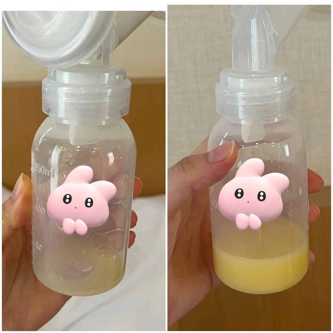 하루만에 초유양 늘리기