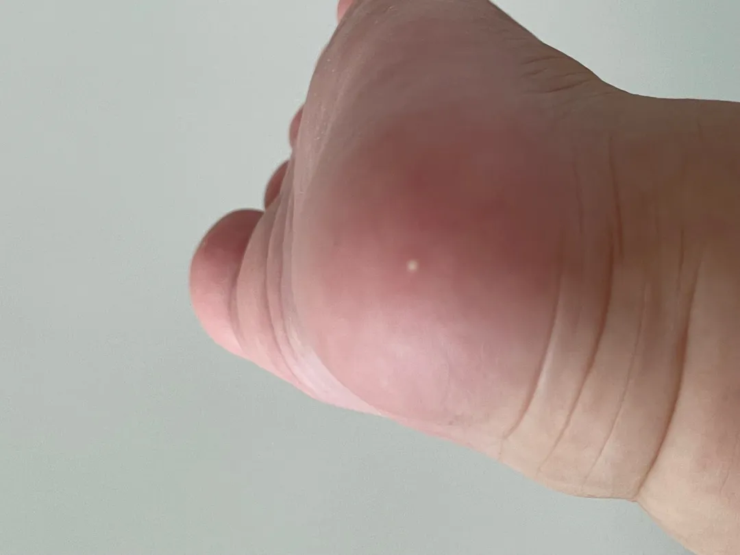 이거 뭔지 아시는분..?