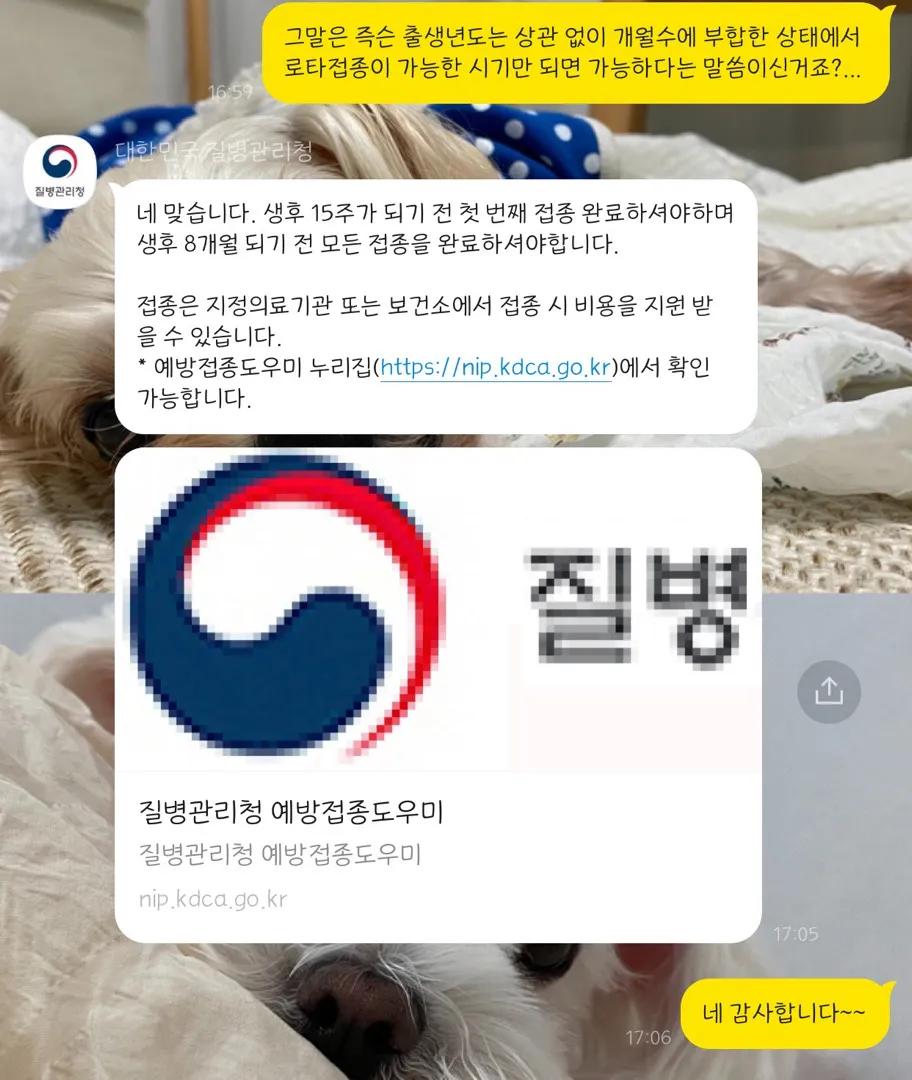 로타바이러스 예방접종!! 무료로 가능하대용!!