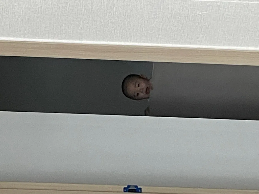 우리집 감자