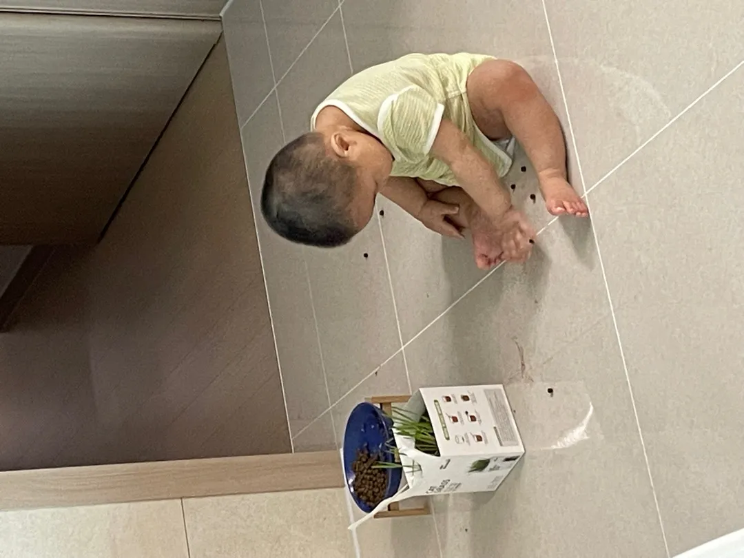 사료 주워먹는 아기 어떤데;