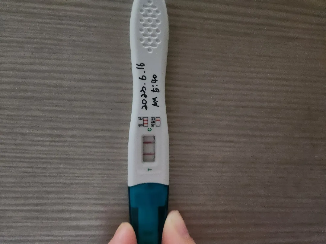 두줄 빼박인가요? ( 연년생 선배님 참견)