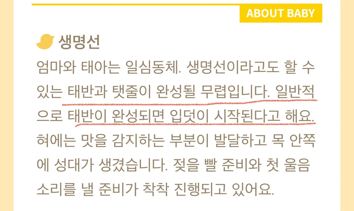 280데이 어플.. 이건 무슨 뜻일까요?
