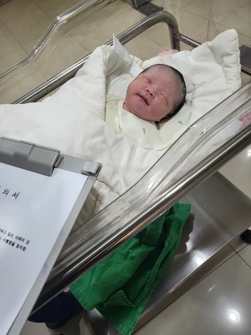 제왕 2일차입니다