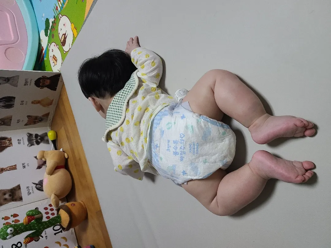 배밀이나기어다니기