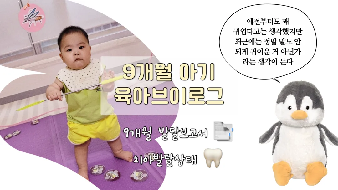 9개월 발달현황 정보 공유 / 9개월 아기 어린이집 등원 / 육아브이로그 