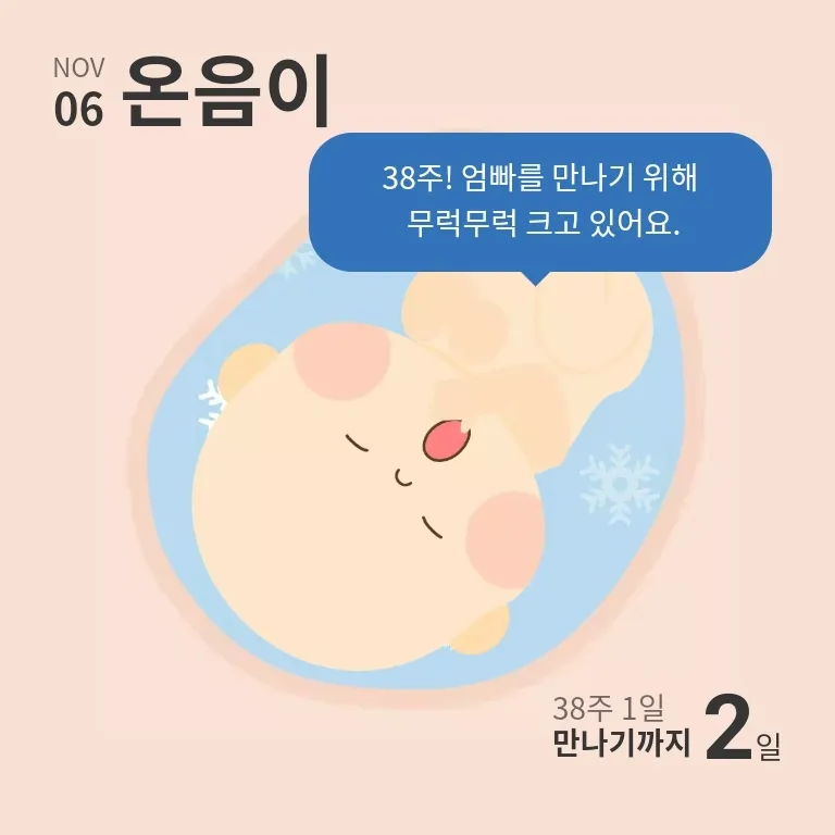 11월 8일 제왕예정입니다~