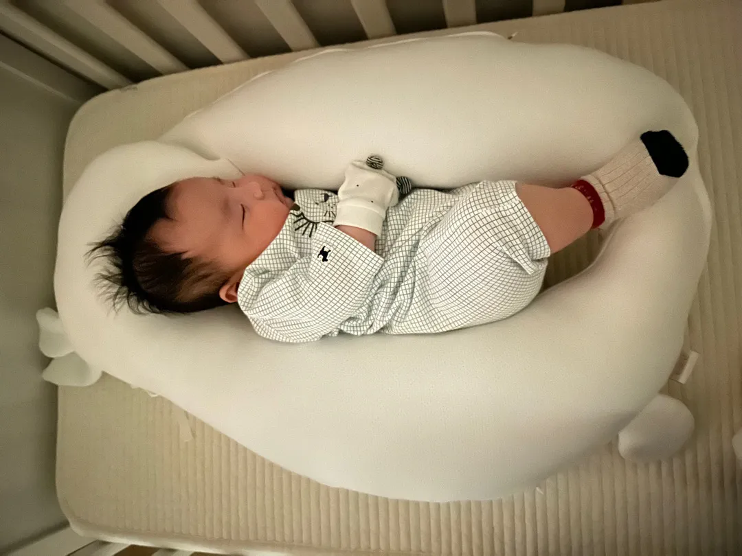 라라스에 눕혔어요. 이거 맞나요? 😭