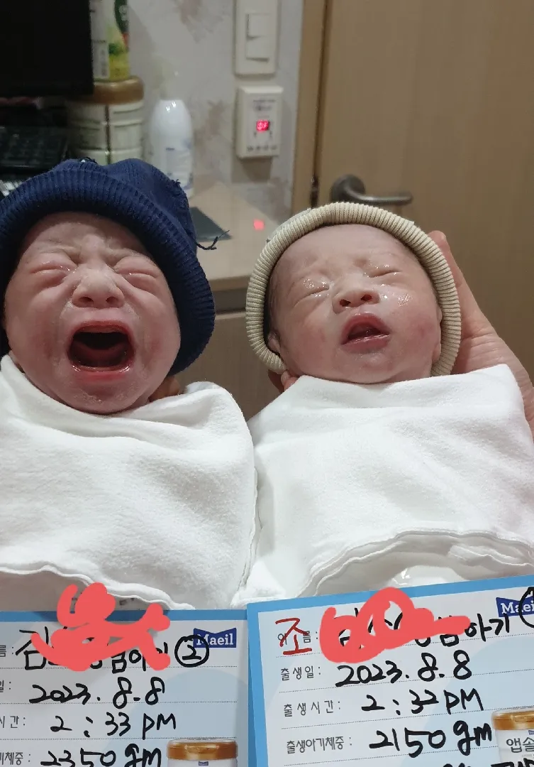 둥이들이 태어났습니다~