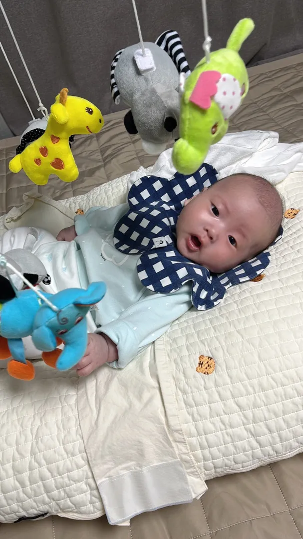 타이니모빌 3시간째