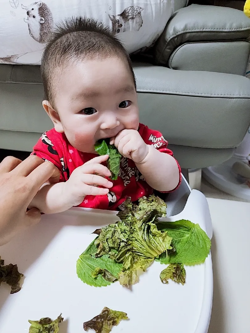 아직 이유식 시작 안한 169일차 남아