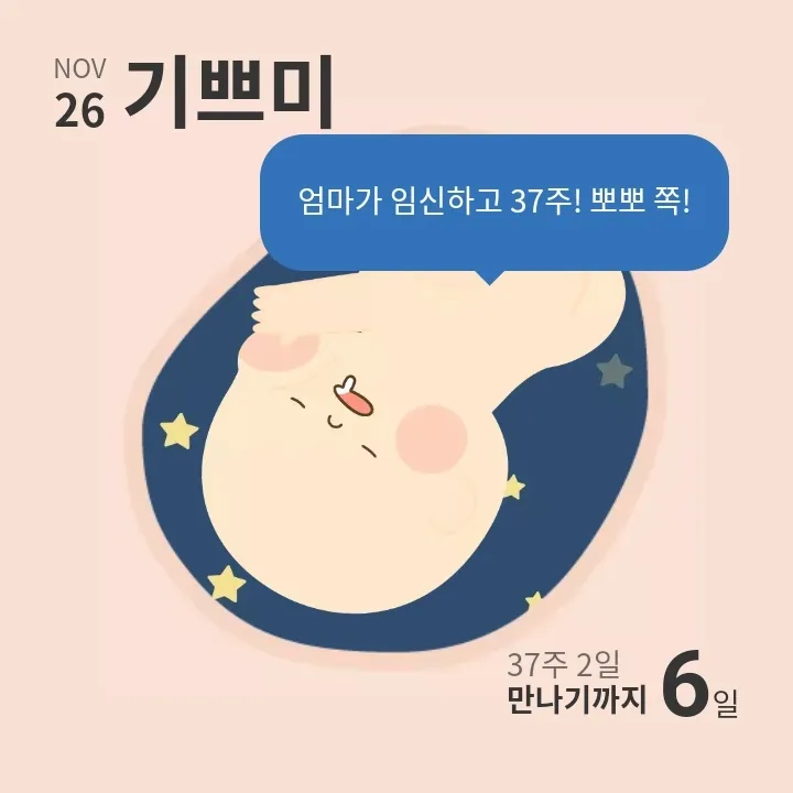 선택제왕 D-6