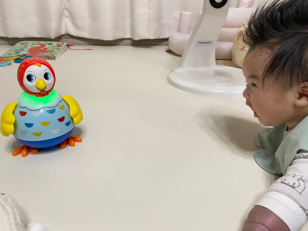 꼬꼬맘 안사신분들.... 강추해요
