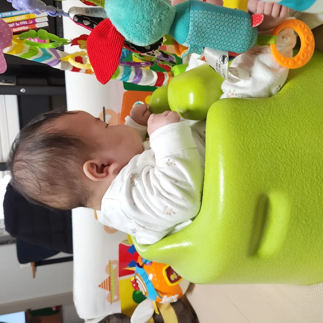범보의자에 잘 앉아있나요?