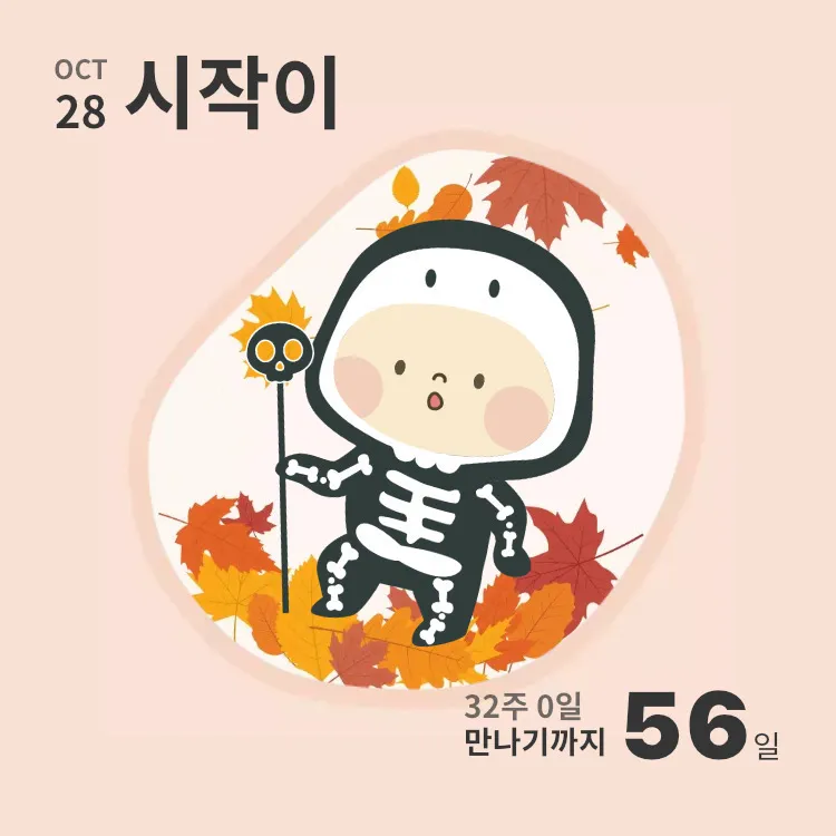 할로윈 컬렉션 넘 귀엽네요 하 🎃 