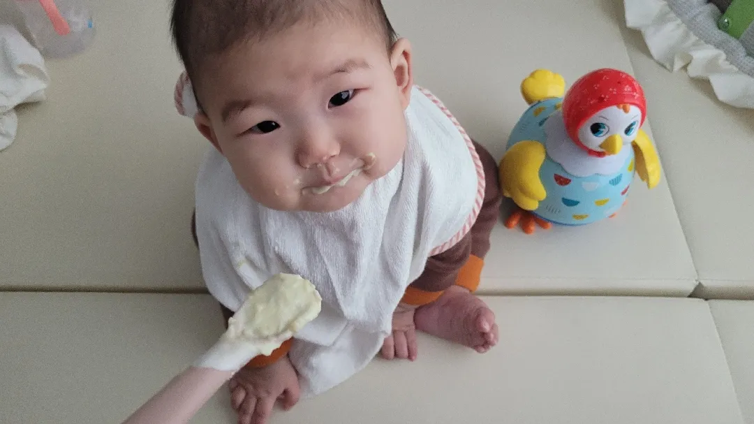 (모유수유맘)이유식 잘먹는 아기(하루 두 끼 250g)