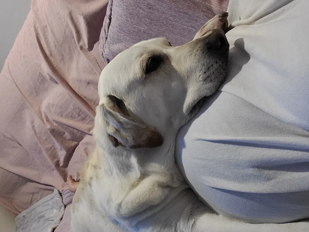저희집 첫찌멍🐶