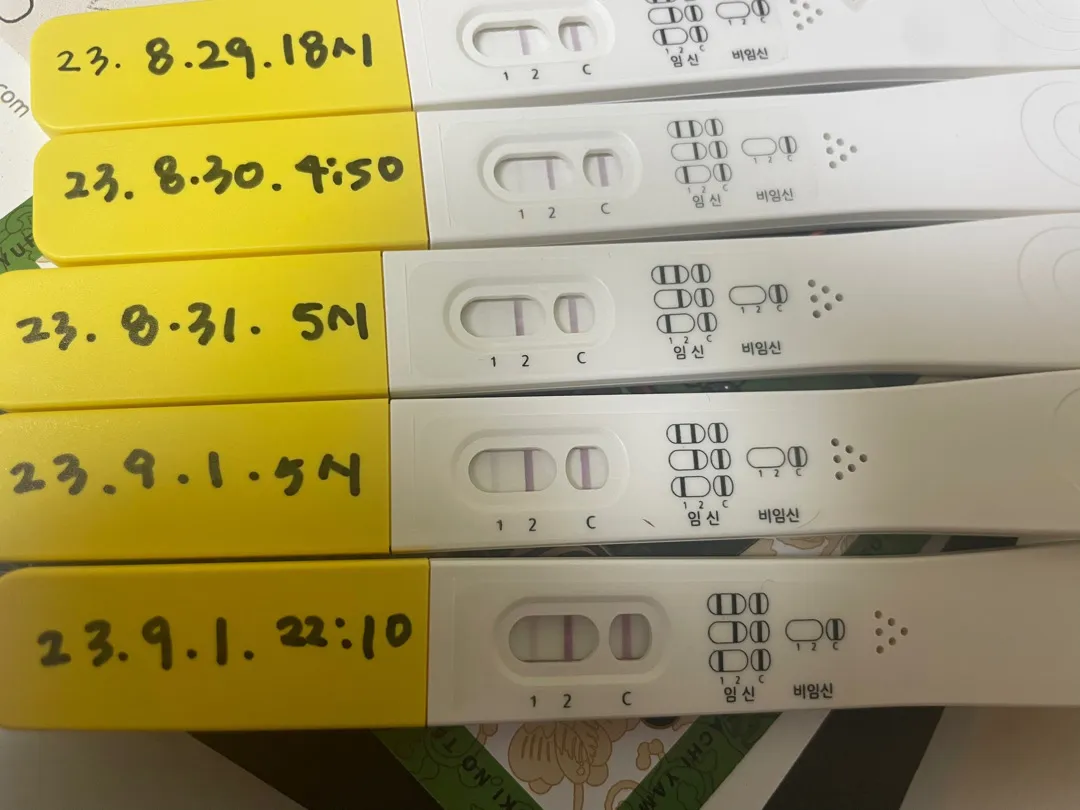 파이널체크 이정도면 아기집 보일까요??
