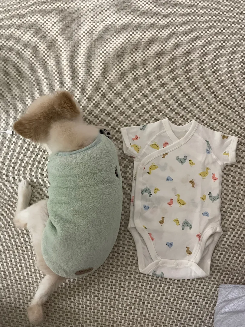 아기가 태어나면 딱 이 크기일까요??ㅎ