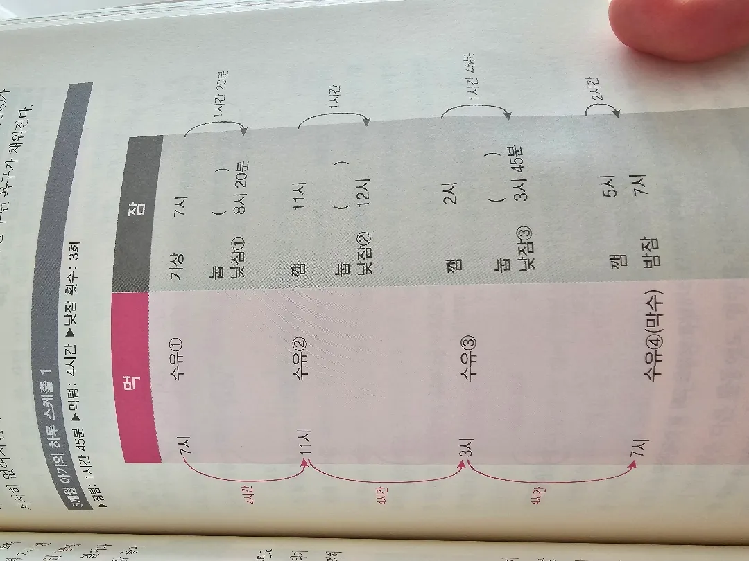종달기상인거 같아요 ㅠㅠ