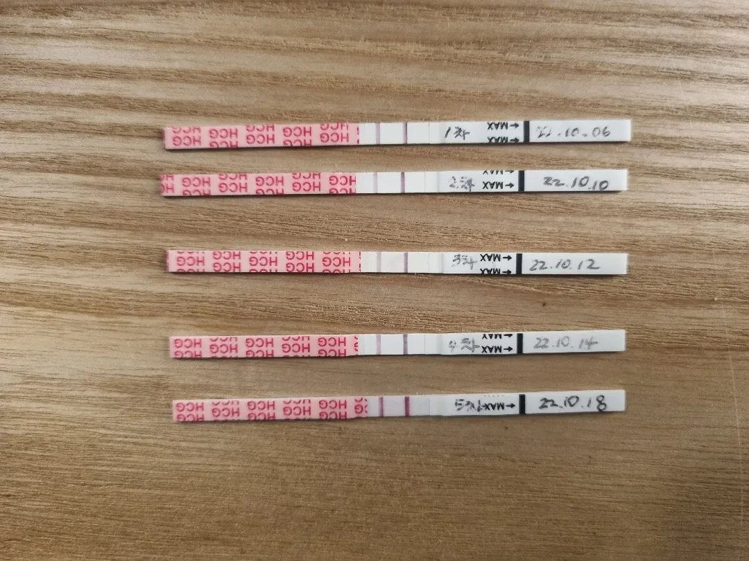 ‼️임테기 확인 후‼️이건 꼭 알고 계세요🪄
